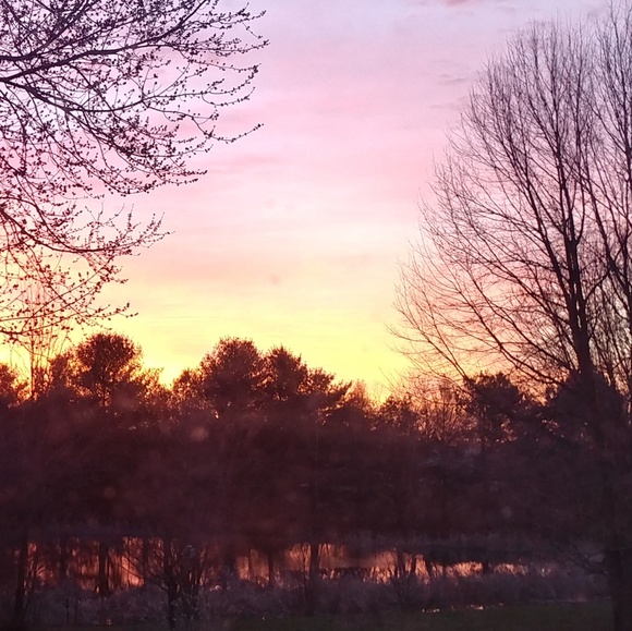 Meet your Posher, Josie - Picture 2 of 3